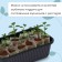 Box for seedlings, 28.5 × 15.5 × 8.5 cm, 2.5 l, black, Greengo