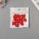 Acrylic beads for the work of “Glad -shaped hearts” red 2.4x2x0.5 cm