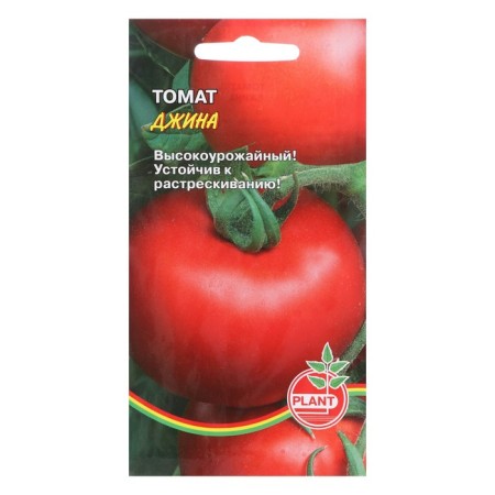 Seed Tomat "Gina", 20 pcs