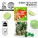 Chewing gum "Sweet bombs" with filling, taste: lime, 50 g.
