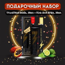 The perfume set of men's Soul Journey: Toilet water, 35ml + shower gel, 35ml