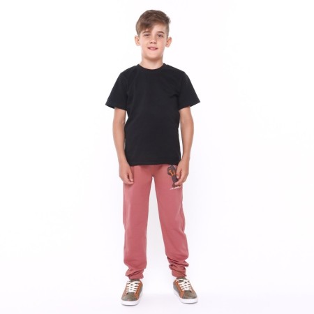 Pants for a boy, brick/dachshund, height 98-104cm-1