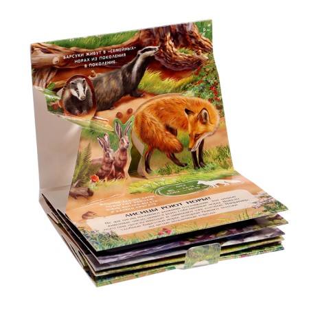 Set "Pocket Pop-up Encyclopedia", set No. 2-10