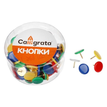 Office buttons 10 mm with a colored plastic head, in a plastic jar of 100 pieces-1