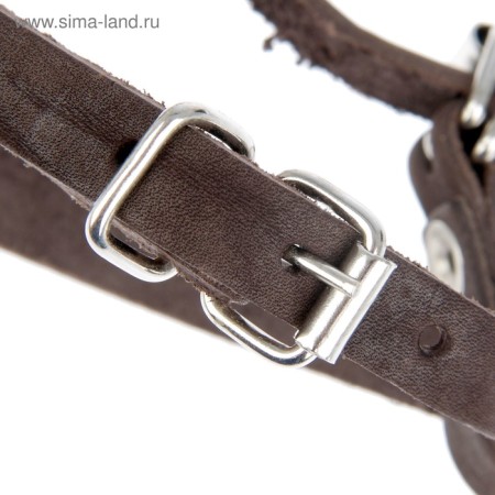 Muzzle Leather Zononic No. 5, German Shepherd, Terrier (length of 11 cm, muzzle 36 cm), mix-3