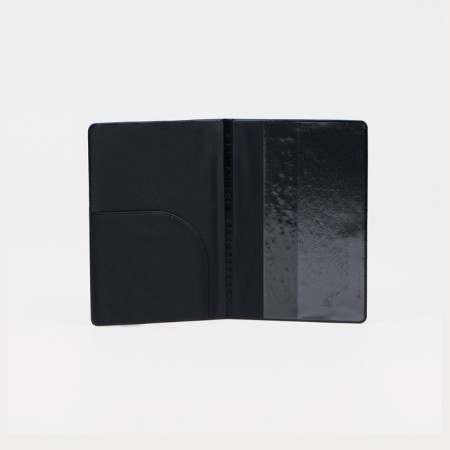 Cover for passport, blue color-2