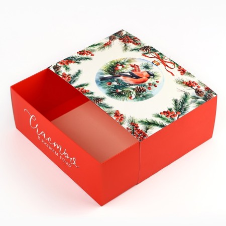 Box the national team "Bullfins", 25 x 18 x 10 cm, New Year-3