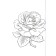 Amazing flowers. May L.