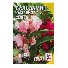 Flowers Balzamin Flower mixture 