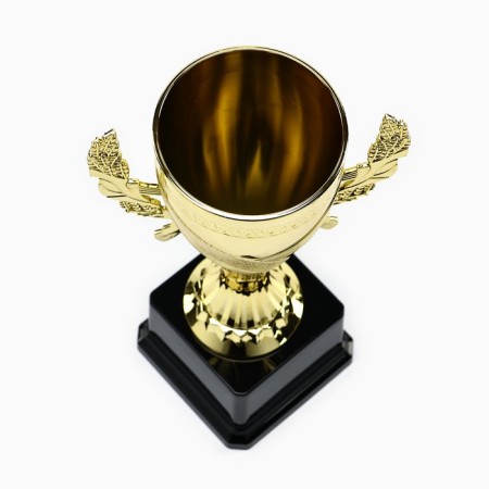 Cup 188 s, award figure, gold, plastic stand, 23.5 x 13 x 8 cm-2