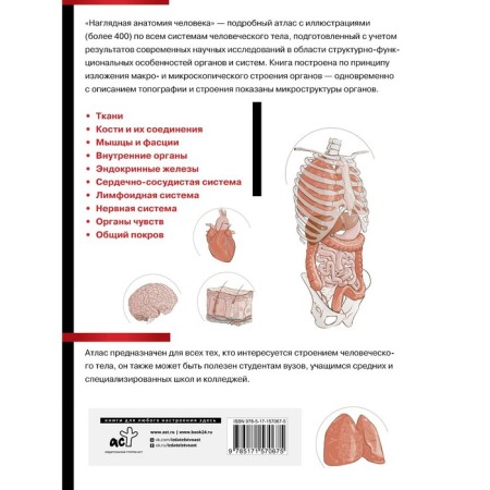 Visual human anatomy. A detailed atlas with illustrations. Samusev R.P.-1