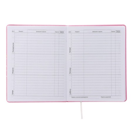 Universal diary for grade 1-11, hard cover, artificial leather, foam rubber, lies, 80 g/m2-4