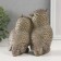 Souvenir Polystone "Gray couple of Filin" 8.5x14.5x14.5 cm