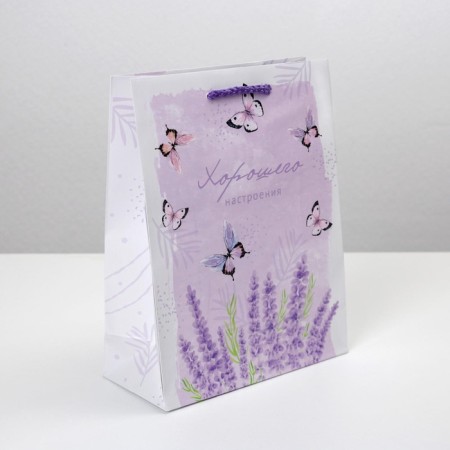 Gift laminated package, packaging, Special for You, MS 18 x 23 x 8 cm-1