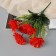 Bouquet "Begonia Ampel" 26 cm, mix