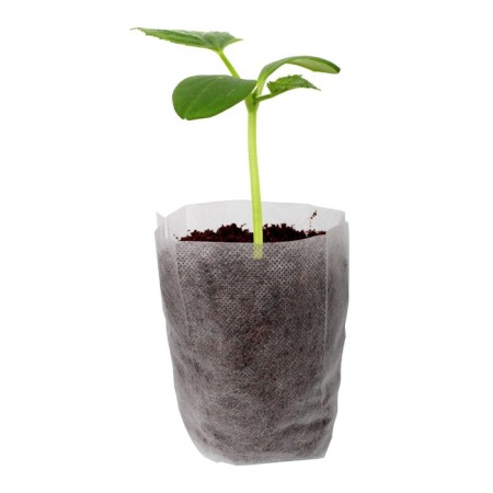 Packages for seedlings, 1000 ml, 16 × 18 cm, in a set of 100 pcs.-1