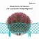 Decorative fence, 35 × 220 cm, 5 sections, plastic, turquoise, Romanika, Greengo