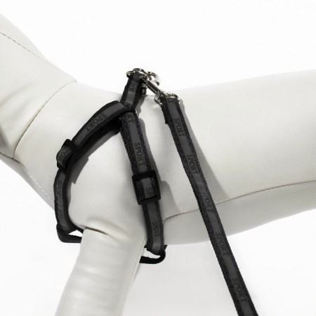 Sports set a reflective, leash 120 x 1 cm, fire 23-35 cm, black-4