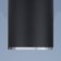 Ceiling accent light (SPOT) ELEKTROSTANDARD, RUTERO GU10 15 W, 53x53x105 mm, IP20, black color