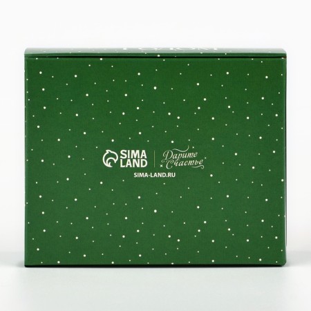 Folding box "New Year's botanist", 10 x 8 x 3.5 cm, New Year-4