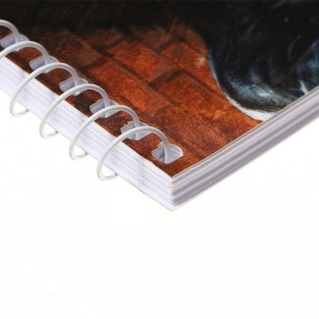 Album for drawing A4, 30 Venom sheets, covered cardboard, perforation for separation, block 100 g/m2, mix-8