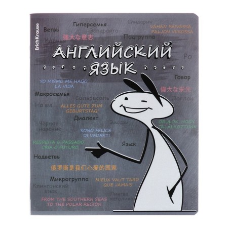 A set of subject notebooks 48 sheets, 12 pieces, Erichkrause "Chubrik", plastic cover silk-screen covers, Blok Offset 100%, information block-5