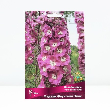 Delphinium Pacific Maginum Fauntein Pink, Rr. I, 1 pc, spring 2025