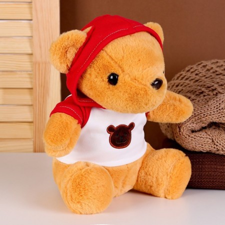 Soft toy "Bear" in the jacket, 23 cm, color mix-2