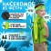 Carnival set "Funny insects": a bandage and a grasshopper of felt, 3-7 years old