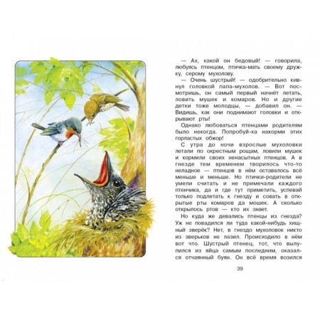 Сказки следопыта. Скребицкий Г.-3