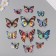 Magnet Plastic "Blobochka Holographic/Cosmonaut" set 12 pcs