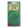 Flower flowers Kochiy Burning "Summer Cyparis", 0.3 g