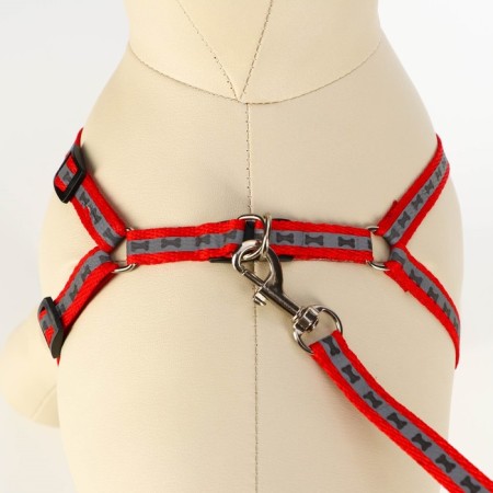 The reflective “bones” set, a collar of 120 x 1 cm, Osh 26-42 cm, fire 26-42 cm, red-4