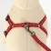 The reflective “bones” set, a collar of 120 x 1 cm, Osh 26-42 cm, fire 26-42 cm, red