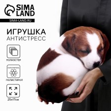 Antistress toy 