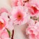Artificial flowers "Sakura tenderness" 65 cm d-4.5 cm, pink