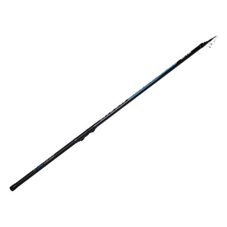 Salmo Diamond River Bolognes Heavy XF, test 5-30 g, length 5 m. 75