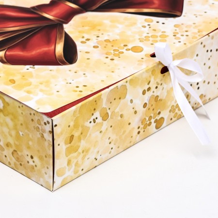 Folding box "Balt" 31.5 x 24.5 x 9 cm-2