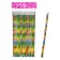 Pencil Chernographic Calligrata "Zoo", NV, with an eraser, round building