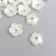 Beads for creativity plastic "forget -me -not" pearl set 40 pcs 0.6x0.6 cm