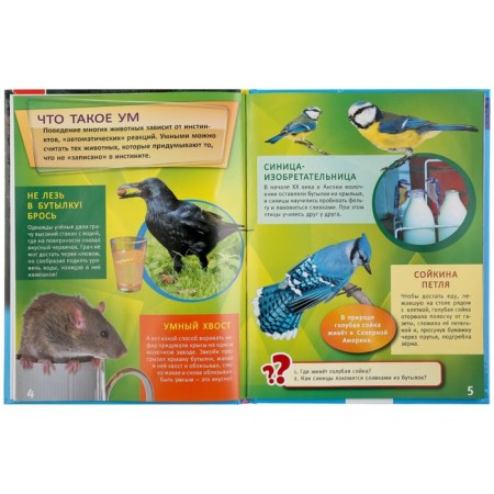 A4 Encyclopedia "Most Smart Animals"-2