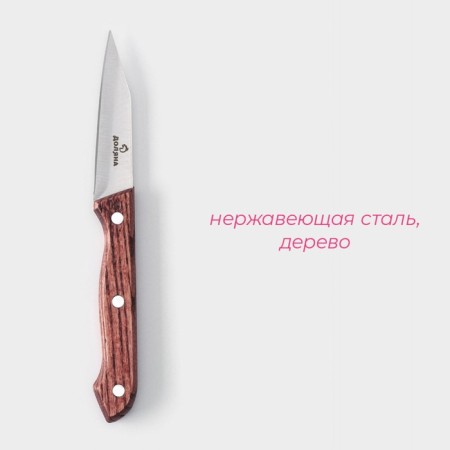 Knife for vegetables Ecology kitchen shade, blade 8.5 cm, brown color-1
