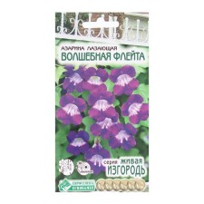 Seeds of flowers Azarin Closing Magic Flute, 5 pcs