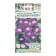 Seeds of flowers Azarin Closing Magic Flute, 5 pcs