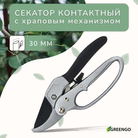 Contact secaterator, 8 "(20 cm), with a ratchet mechanism, metal pens, Greengo
