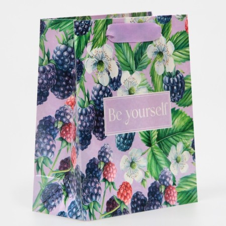 Gift package laminated, packaging, “be yourself”, rainbow holography, S 12 x 15 x 5.5 cm-1