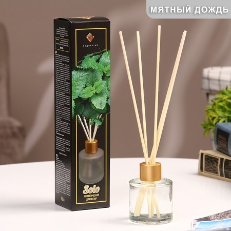 Aromatic diffuser "Solo" 50 ml mint rain