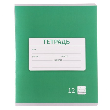 Notebook 12 sheets in the slanting line is a plain "New School. Economy", covered covered paper, VD-LK, Block No. 2 (gray sheets), mix-4