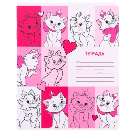 Notebook in a large cage 12 sheets, 5 types of mix, cover coated cardboard, cats aristocrats-6