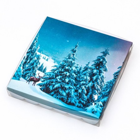 Bearbox "Winter Forest", 18 x 18 x 3 cm-5